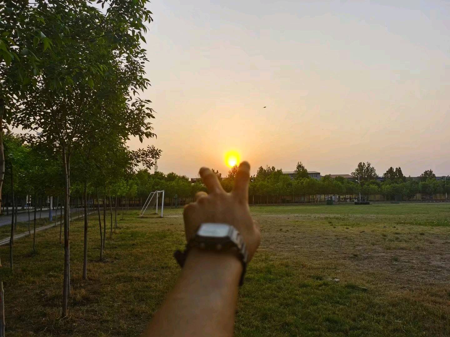 今年我感觉还是够呛